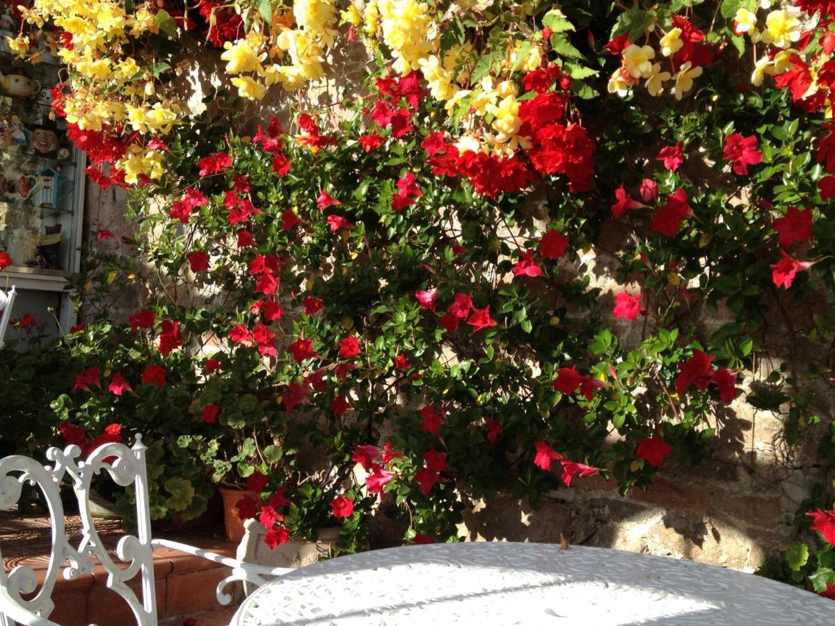 Panorama Guest House St Aubin Екстериор снимка